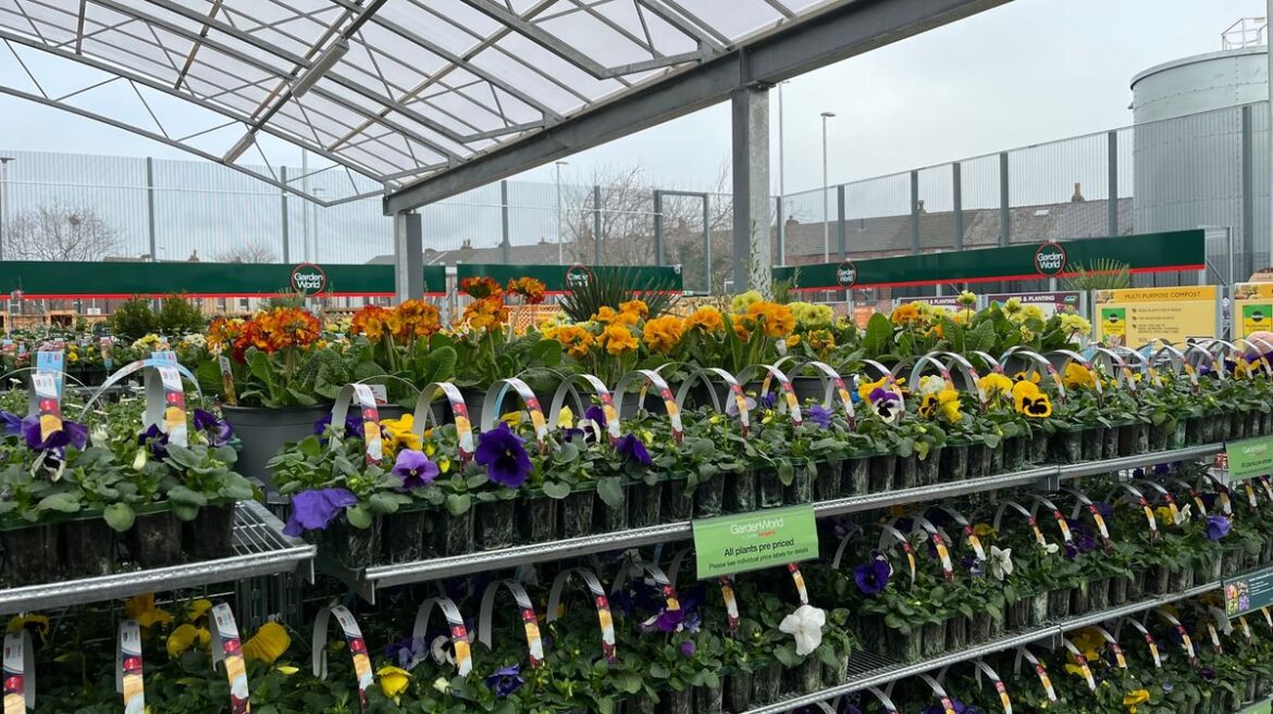 Home Bargains planter adds ‘delightful rustic touch’ to gardens Manchester Evening News