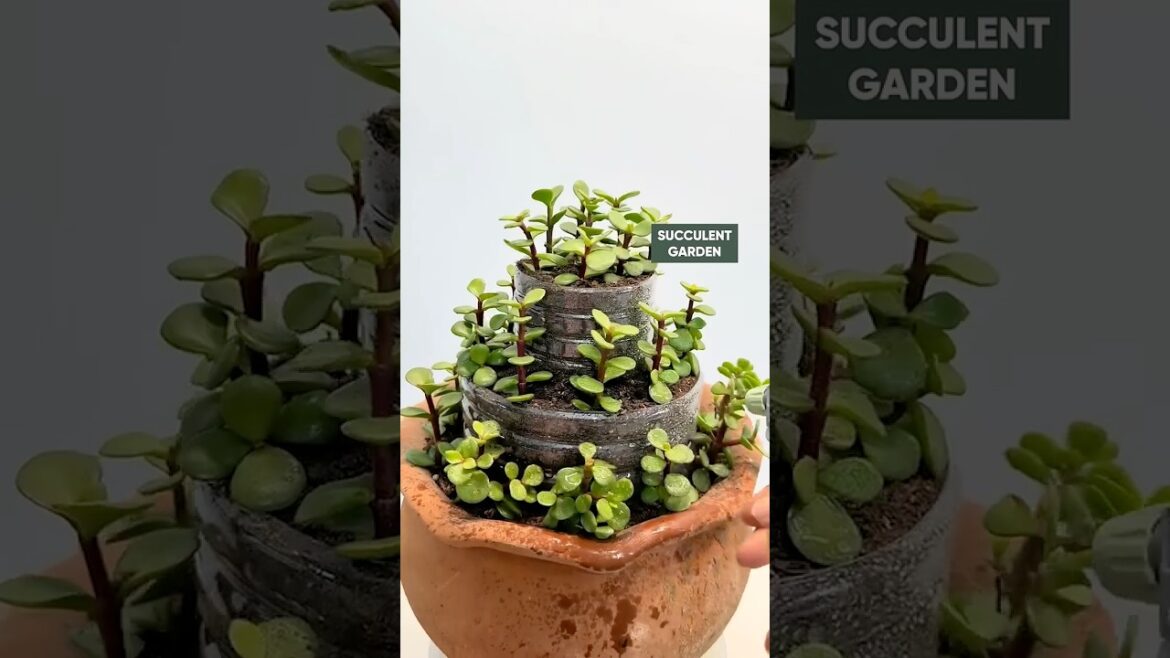 Creative DIY: Turning Plastic Bottles into Beautiful Succulent Planters