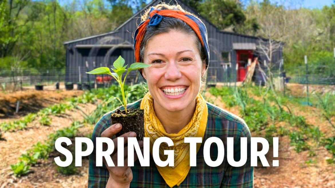 The Lazy Garden is BACK!! | FULL Spring Garden Tour 2026! The Lazy Garden is BACK!! | FULL Spring Garden Tour 2026!