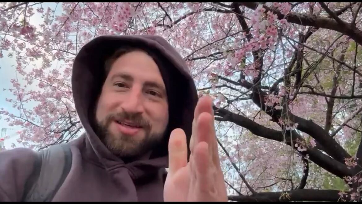 How Did Cherry Trees End Up In Washington D.C.? How Did Cherry Trees End Up In Washington D.C.?