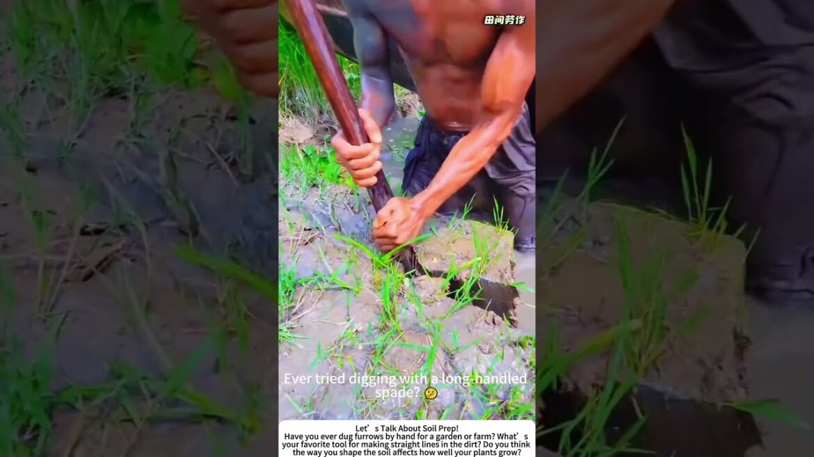 Shaping the Soil – Cutting Neat Rectangular Trenches with a Flat Spade! 🔧