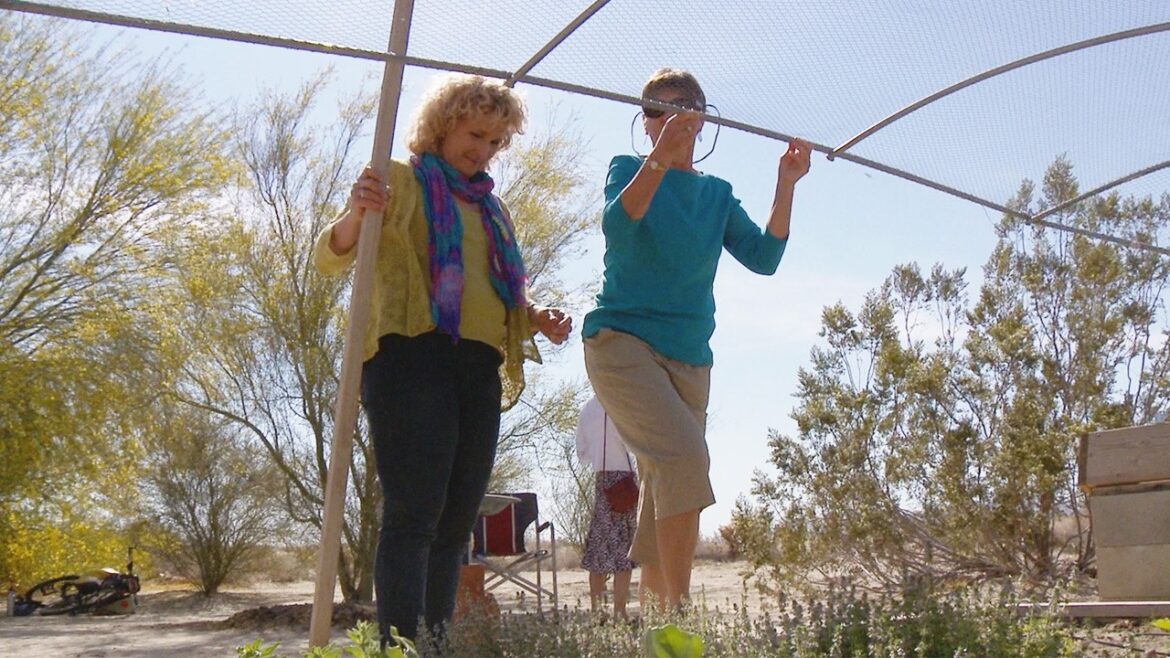 How Desert Climate Changes Vegetable Gardening | A Growing Passion How Desert Climate Changes Vegetable Gardening | A Growing Passion