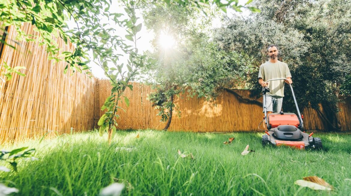 Walking trick will transform your patchy lawn to luscious green grass for free Daily Mirror