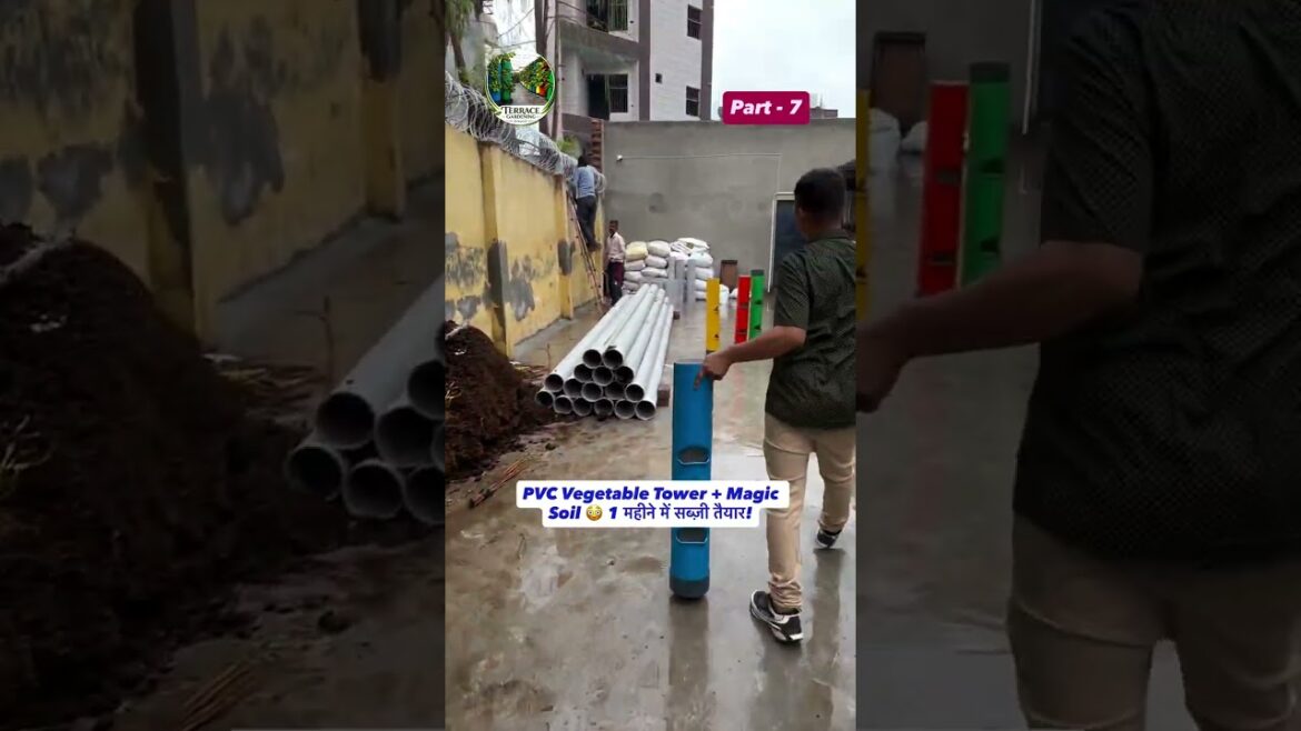 PVC Vegetable Tower + Magic Soil ЁЯШ│ 1 рдорд╣реАрдиреЗ рдореЗрдВ рд╕рдмреНрдЬрд╝реА рддреИрдпрд╛рд░! PVC Vegetable Tower + Magic Soil ЁЯШ│ 1 рдорд╣реАрдиреЗ рдореЗрдВ рд╕рдмреНрдЬрд╝реА рддреИрдпрд╛рд░!
