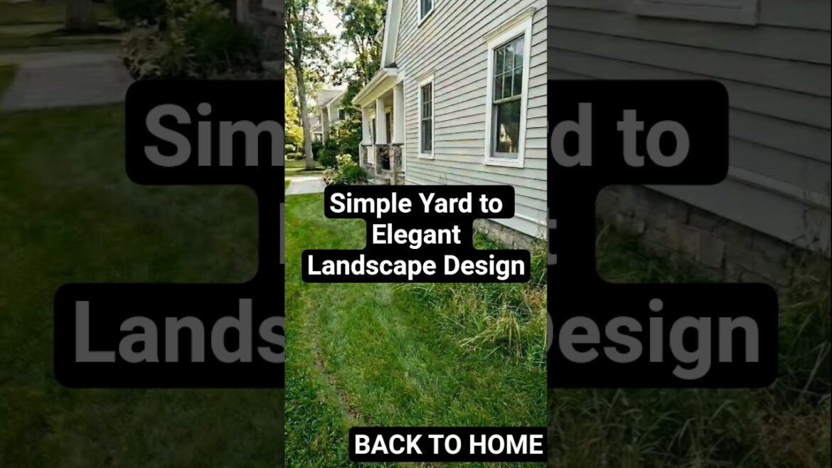 Simple Yard to Elegant Landscape Design#backyard #backyardgarden #garden #gardening #gardendesign