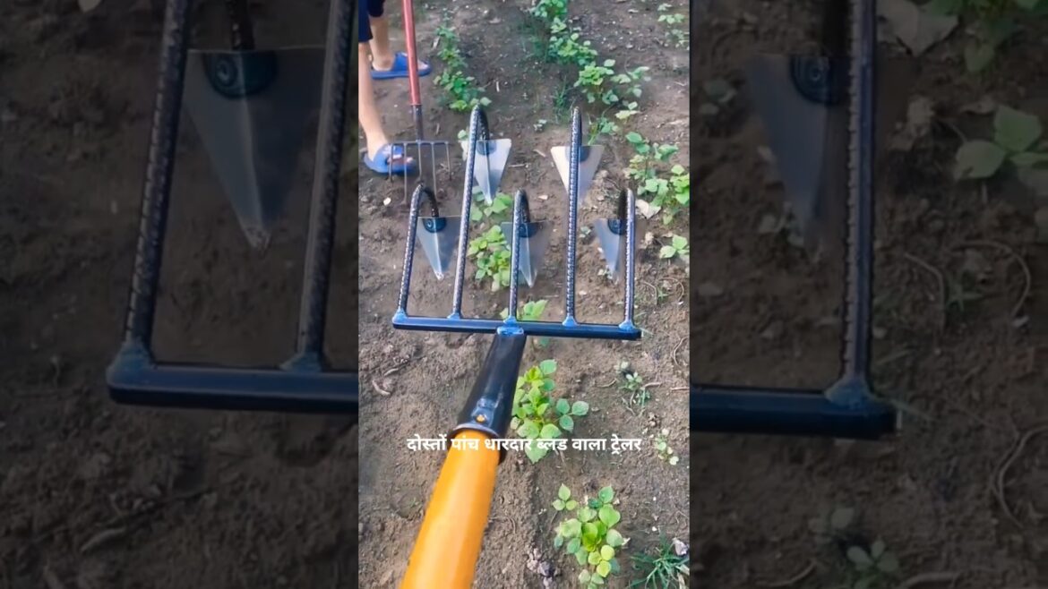 Five Sharp Blade Cultivation Palau Manual Tool For Garden Nursery #shortsfeed