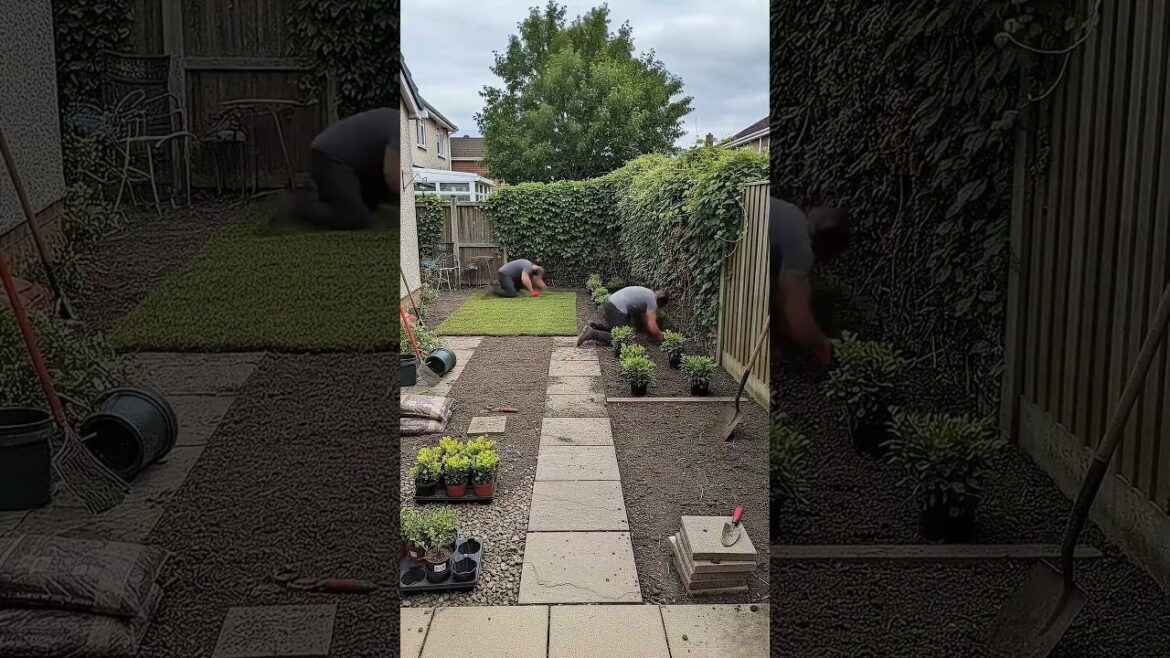 Overgrown Garden → Beautiful Backyard 🌿 | Garden Transformation
