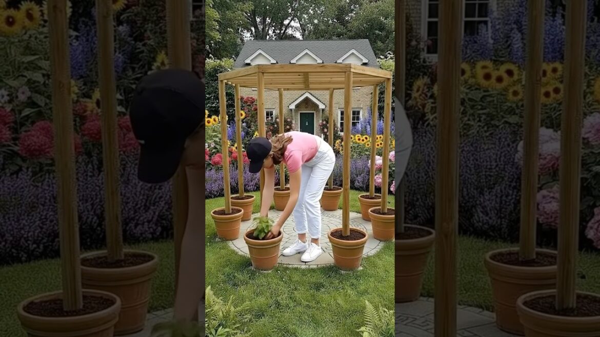 This Garden Pergola Setup Is So Beautiful 😍🌸 | Dream Backyard Idea This Garden Pergola Setup Is So Beautiful 😍🌸 | Dream Backyard Idea