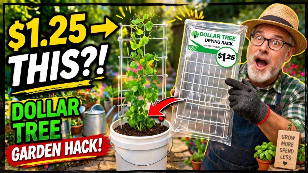 10 Things You SHOULD Be Buying at Dollar Tree in April 2026🤩🔥
