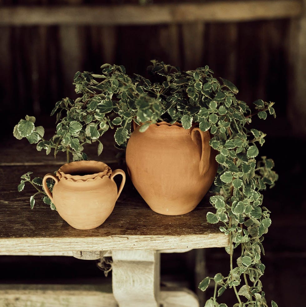 Etta Terracotta Pot, Large
