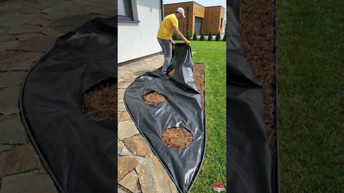 $150 Garden Upgrade That Looks Like $5000 💸 #garden