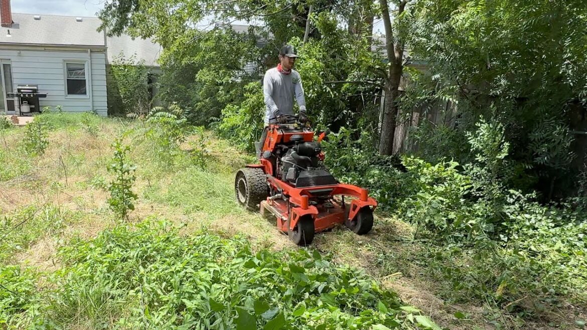 She had to CALL HER MOM before letting me mow this yard… She had to CALL HER MOM before letting me mow this yard...