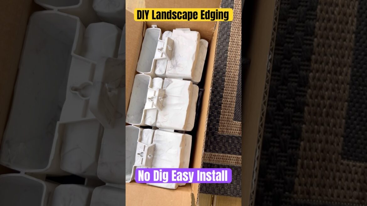 DIY Landscaping Edging β No Dig Easy Install for a Beautiful Garden! #home #garden #shortsfeed DIY Landscaping Edging β No Dig Easy Install for a Beautiful Garden! #home #garden #shortsfeed