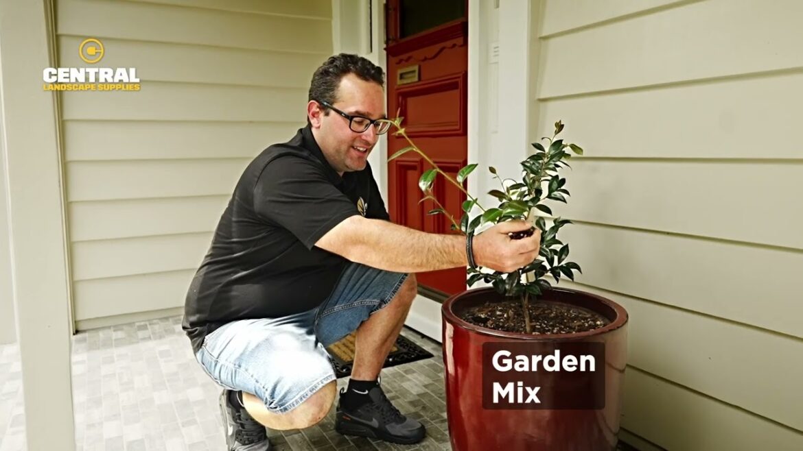 How to transform your garden & landscapes with Franc Landscapes | Central Landscape Supplies