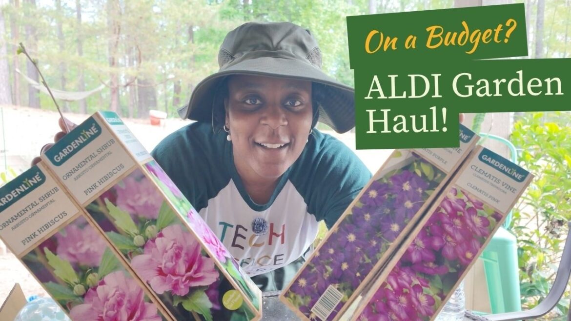Aldi Garden Haul: Flowers + Decor on a Budget