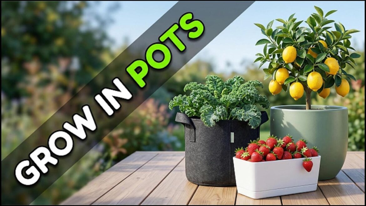 The Container Gardening Masterclass (Grow Anything in Pots) The Container Gardening Masterclass (Grow Anything in Pots)