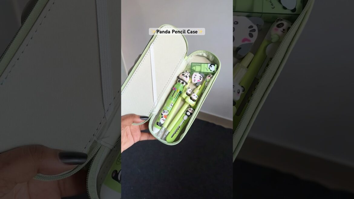 Pinteresty Panda Pencil Case๐๐ทโจ#stationery #stationary #kawaii #panda #pencilcase #green #shorts Pinteresty Panda Pencil Case๐๐ทโจ#stationery #stationary #kawaii #panda #pencilcase #green #shorts