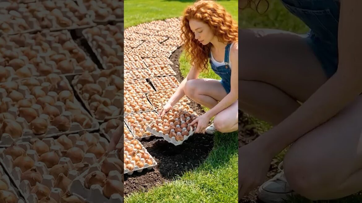 Arrange bulbous plants in your garden 🌷Smart Planting Hack  #garden #gardening