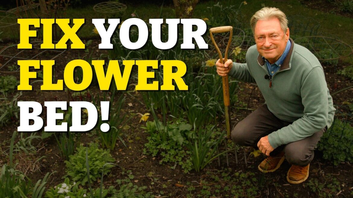 How to Plan a Flower Bed That Looks Good all Year (Most People Get This Wrong) How to Plan a Flower Bed That Looks Good all Year (Most People Get This Wrong)