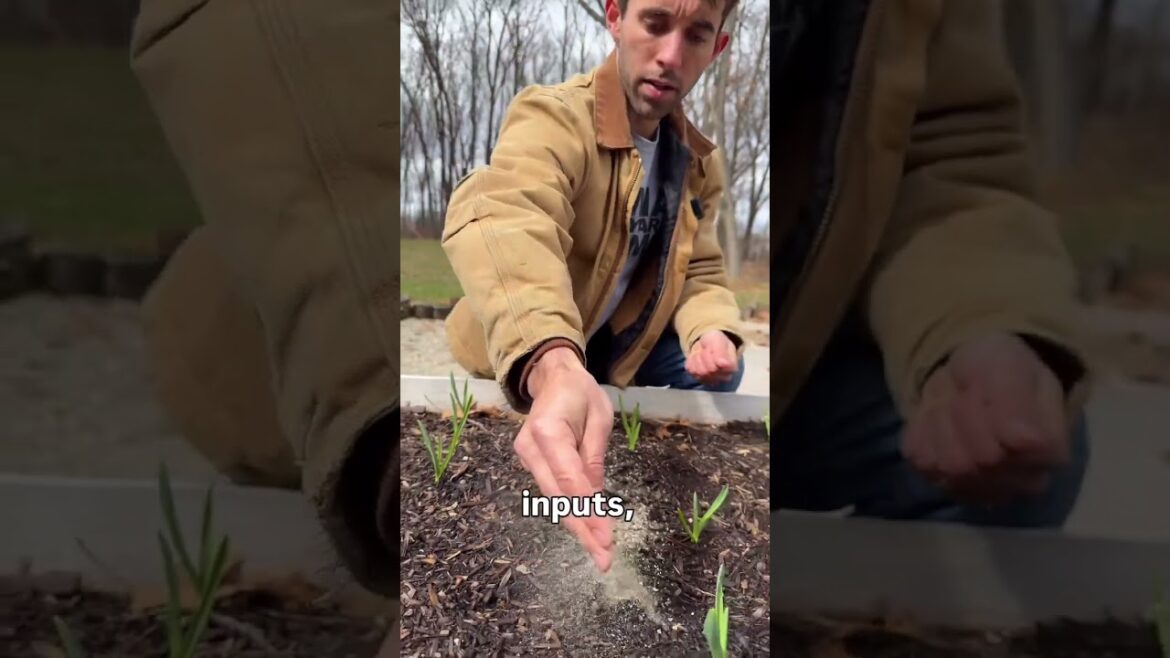 Expensive gas, groceries and gardening 👨‍🌾 Most people don’t realize that conventional