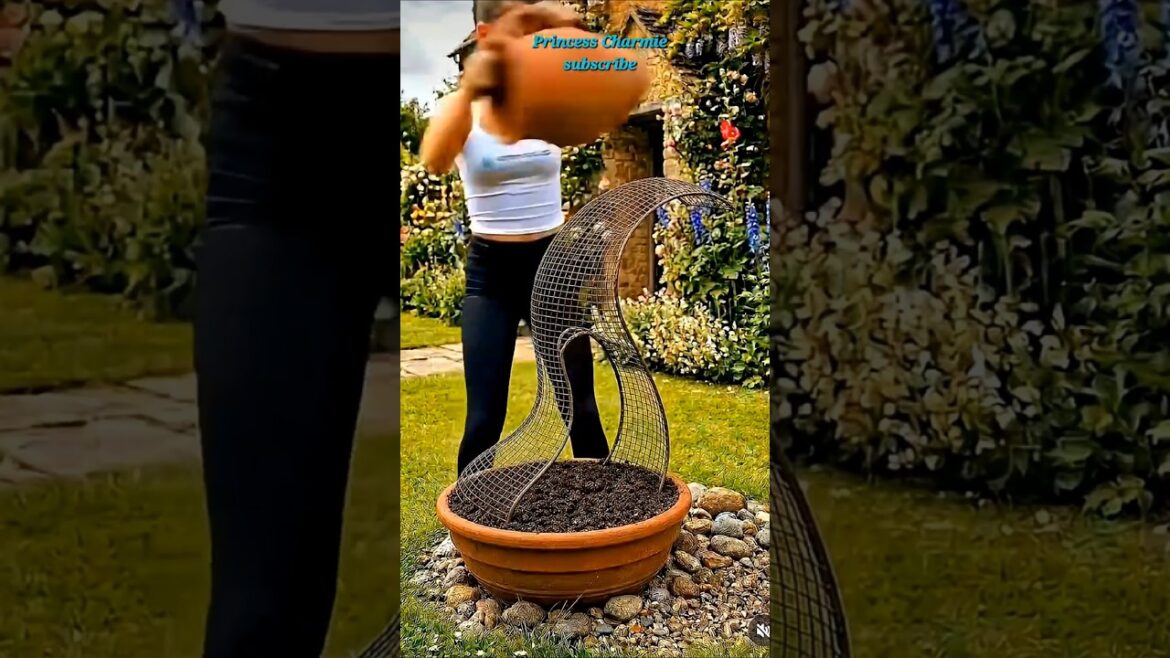 🌺How To Grow Vertical Garden Design Process | Princess Charmie #shorts #explore #newtrend #trending