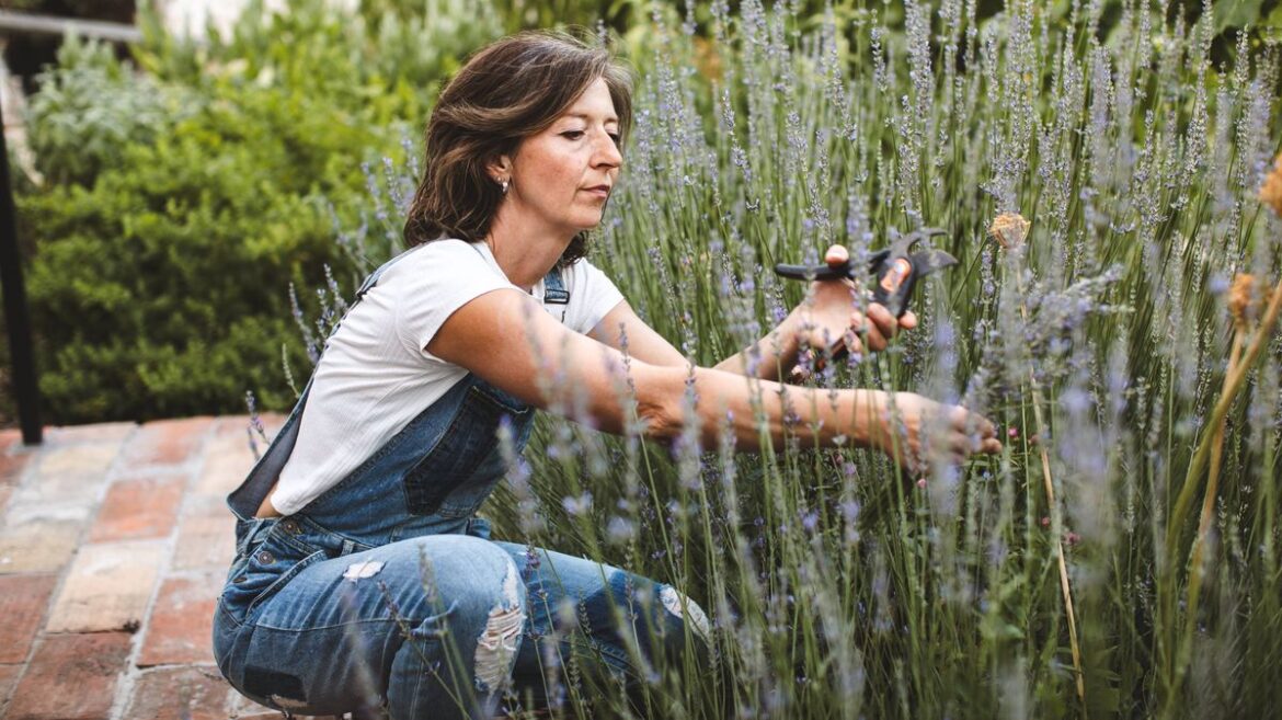Neighbour claims woman’s garden is hers and even starts weeding in it Irish Mirror