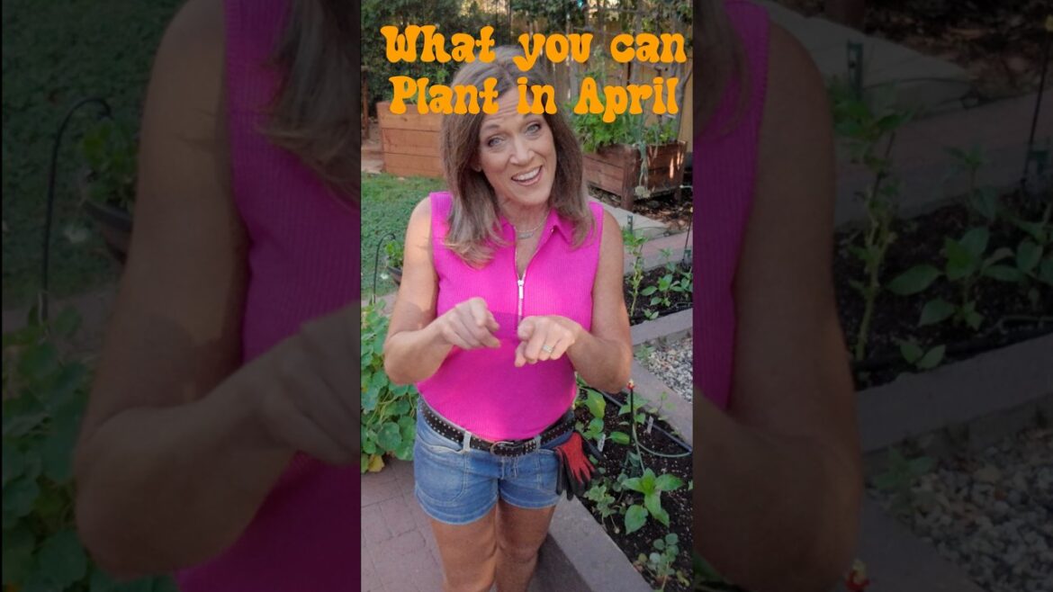 CaliKim: What to plant in April What to plant in April