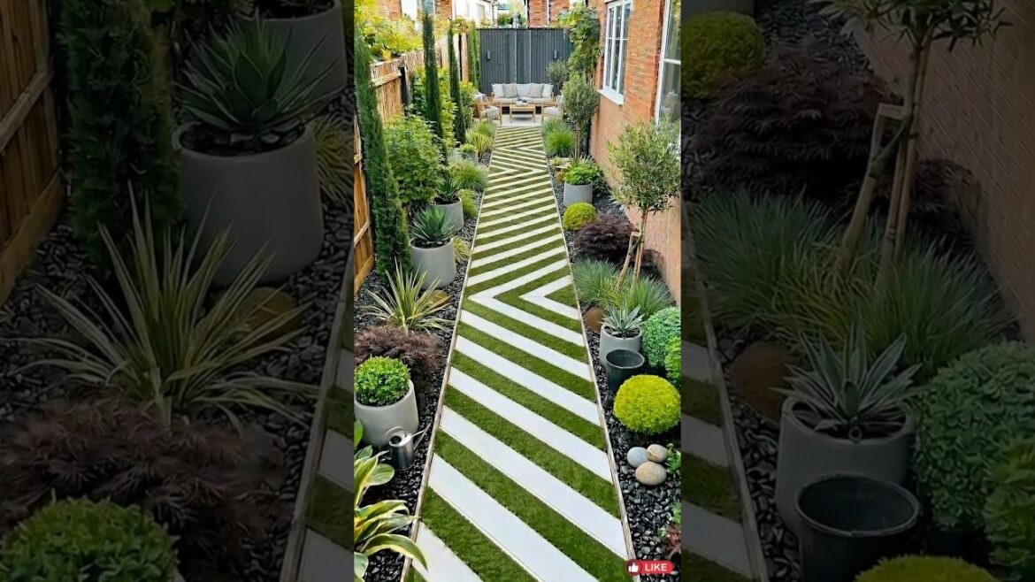 From Ruins to Beautiful Garden 🌿  From Empty Space to Stunning Garden 😍