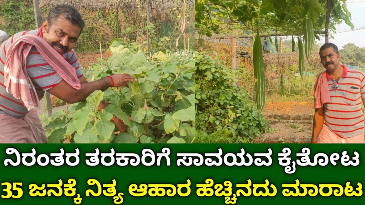 35 ಜನಕ್ಕೆ ನಿರಂತರ ತರಕಾರಿ ನೀಡುವ ಸಾವಯವ ಕೈತೋಟ | Organic Vegetable Gardening | Garden Ideas In Kannada