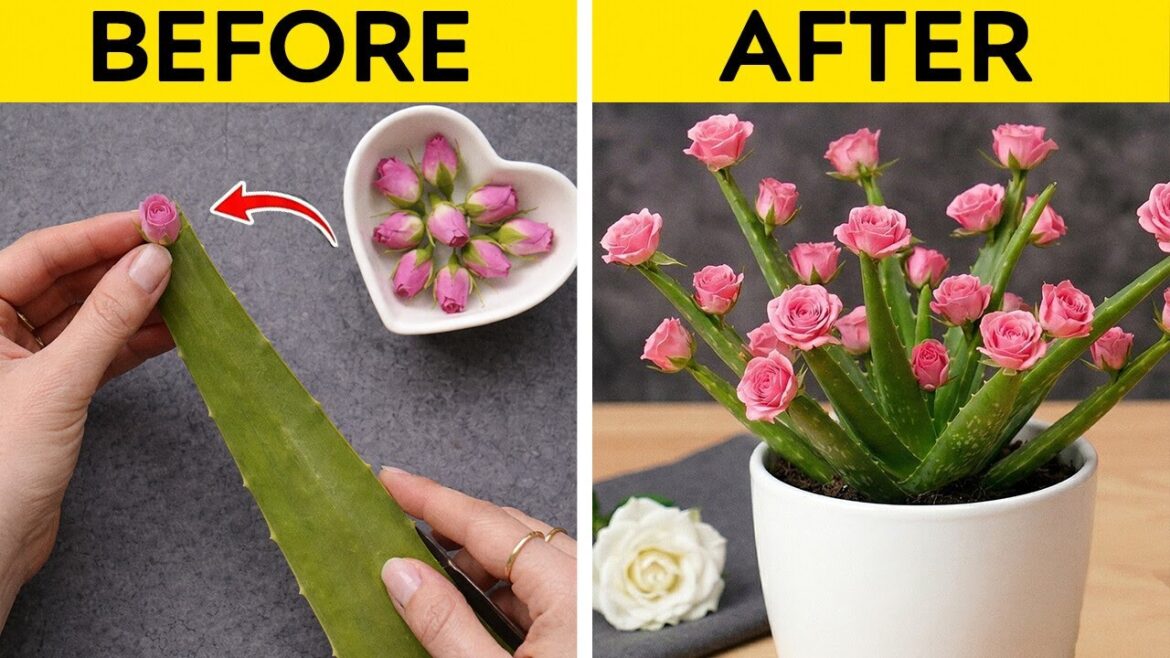 Unusual Gardening Hacks to Grow Exotic Plants 🌿✨ Unusual Gardening Hacks to Grow Exotic Plants 🌿✨