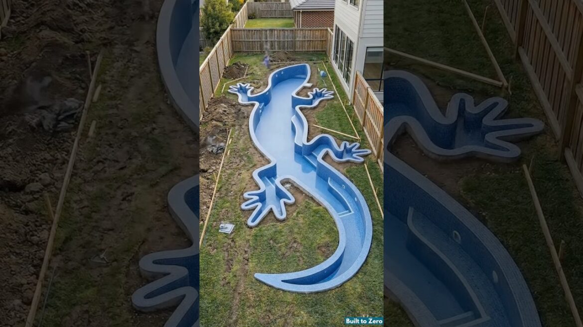 I Built a Giant Lizard-Shaped Pool in My Backyard 🦎