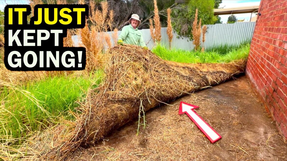 I RIPPED This up and WASN’T READY for what I Found – INSANE YARD TRANSFORMATION I RIPPED This up and WASN’T READY for what I Found - INSANE YARD TRANSFORMATION