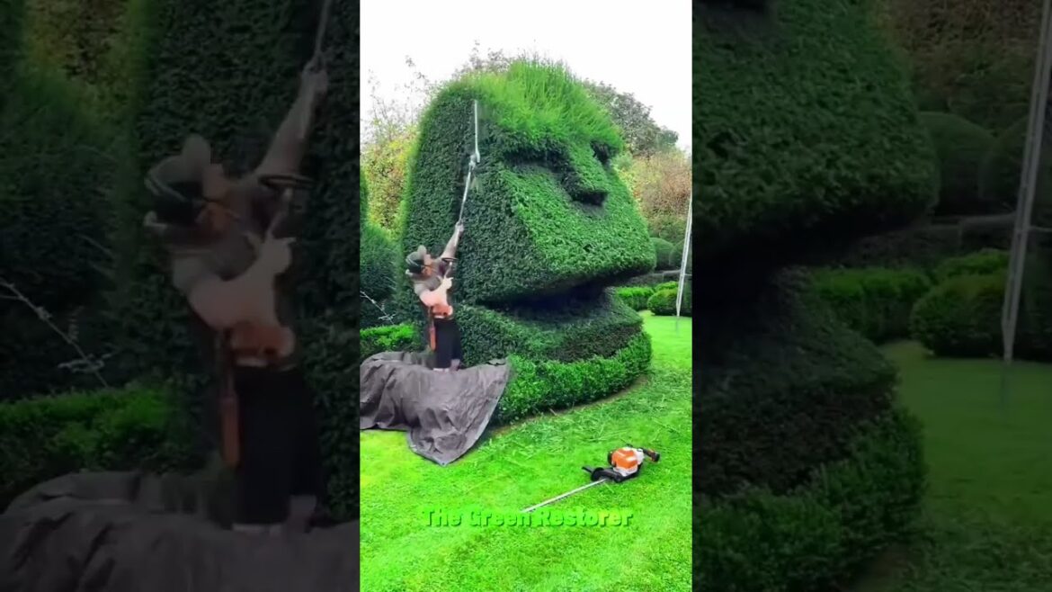 Pressure Washing | Cleaning | Raking | Mowing | Landscaping #shorts #satisfying #gardening
