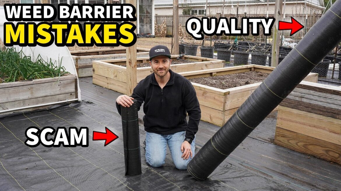 10 Things I WISH They Told Me About WEED BARRIER [I Got Tricked!]
