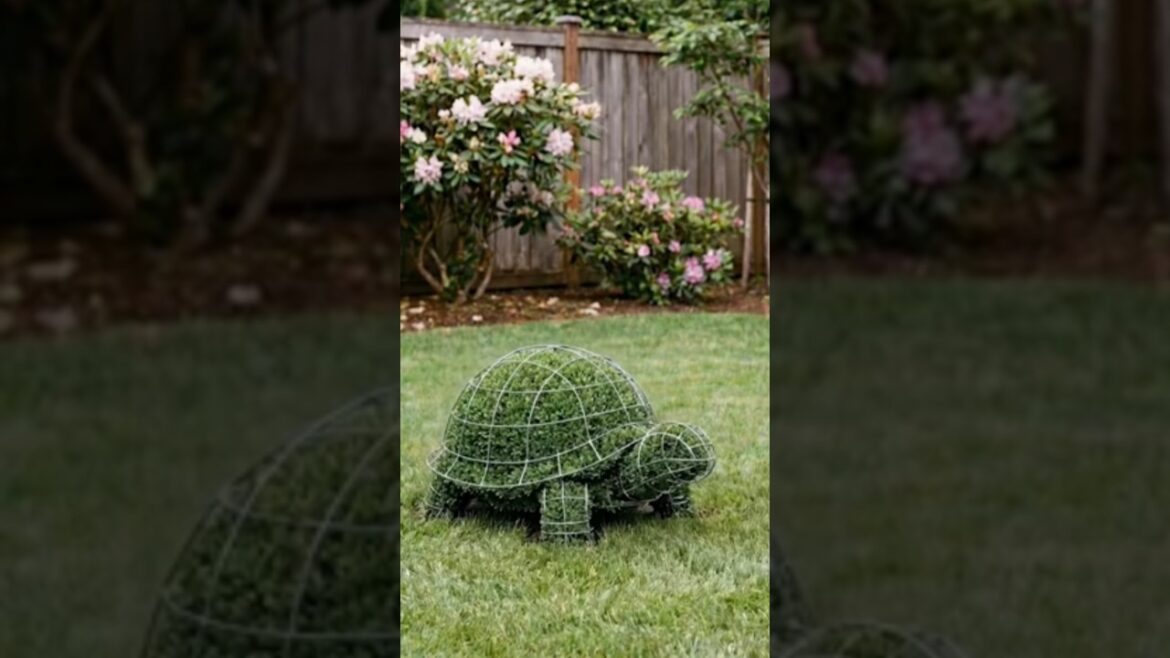 Creativity | Unique Gardening Design