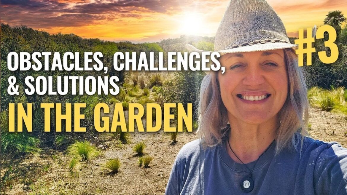 October Garden Struggles: Drought and Frost Won’t Stop Us! October Garden Struggles: Drought and Frost Won't Stop Us!