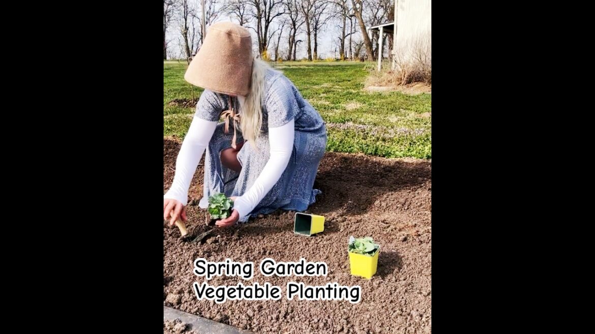 Spring Garden Vegetable Planting
