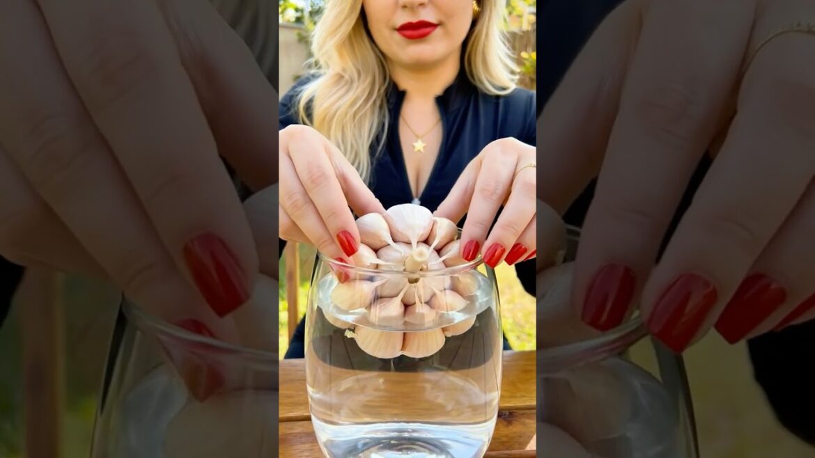DIY: Grow Fresh Green Onions Every Day at Home 🧄🌿 Garlic Trick #shorts DIY: Grow Fresh Green Onions Every Day at Home 🧄🌿 Garlic Trick #shorts
