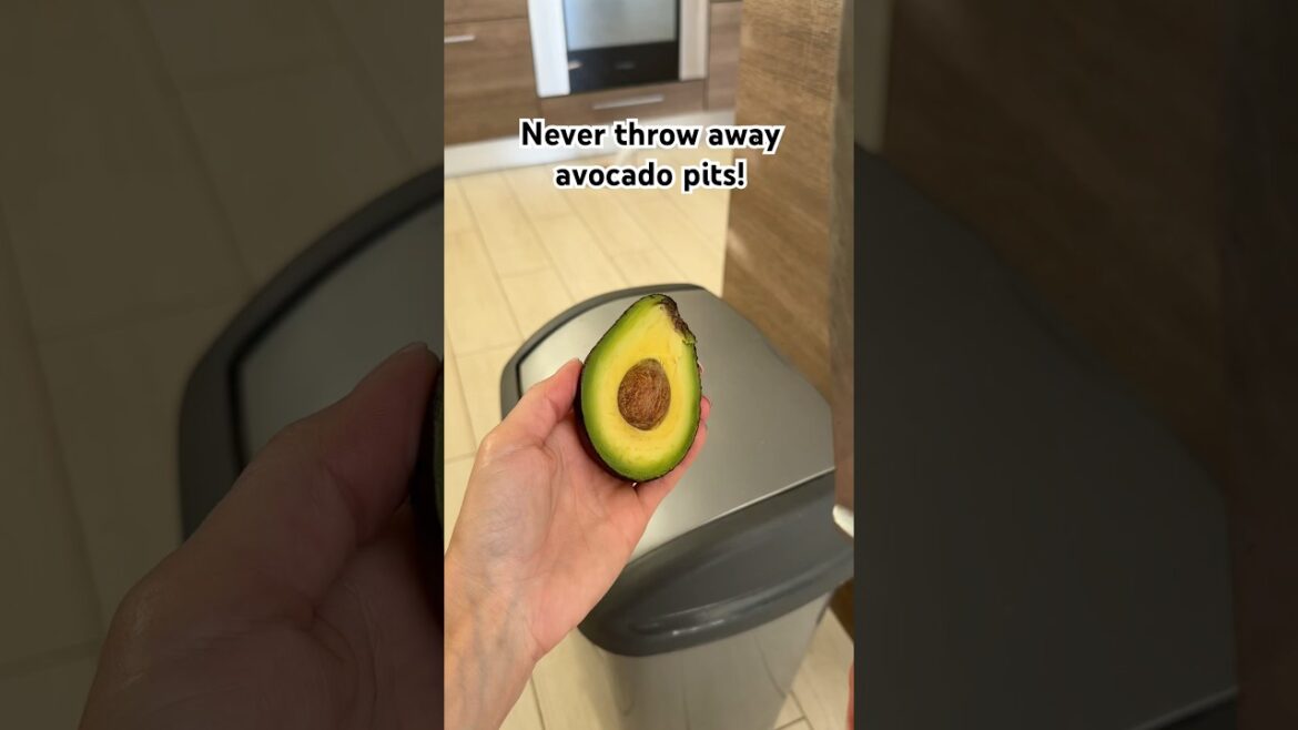 Never Throw Away Avocado Pits! ๐ฅ Never Throw Away Avocado Pits! ๐ฅ