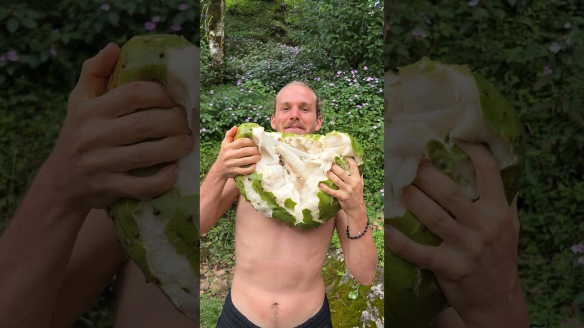Top 5 Fruits (Costa Rica Edition) Top 5 Fruits (Costa Rica Edition)