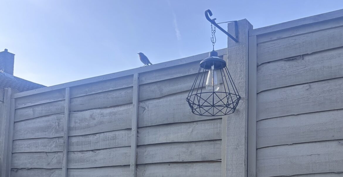 Want to help garden birds? Don’t feed them in warmer months, says RSPB Want to help garden birds? Don’t feed them in warmer months, says RSPB