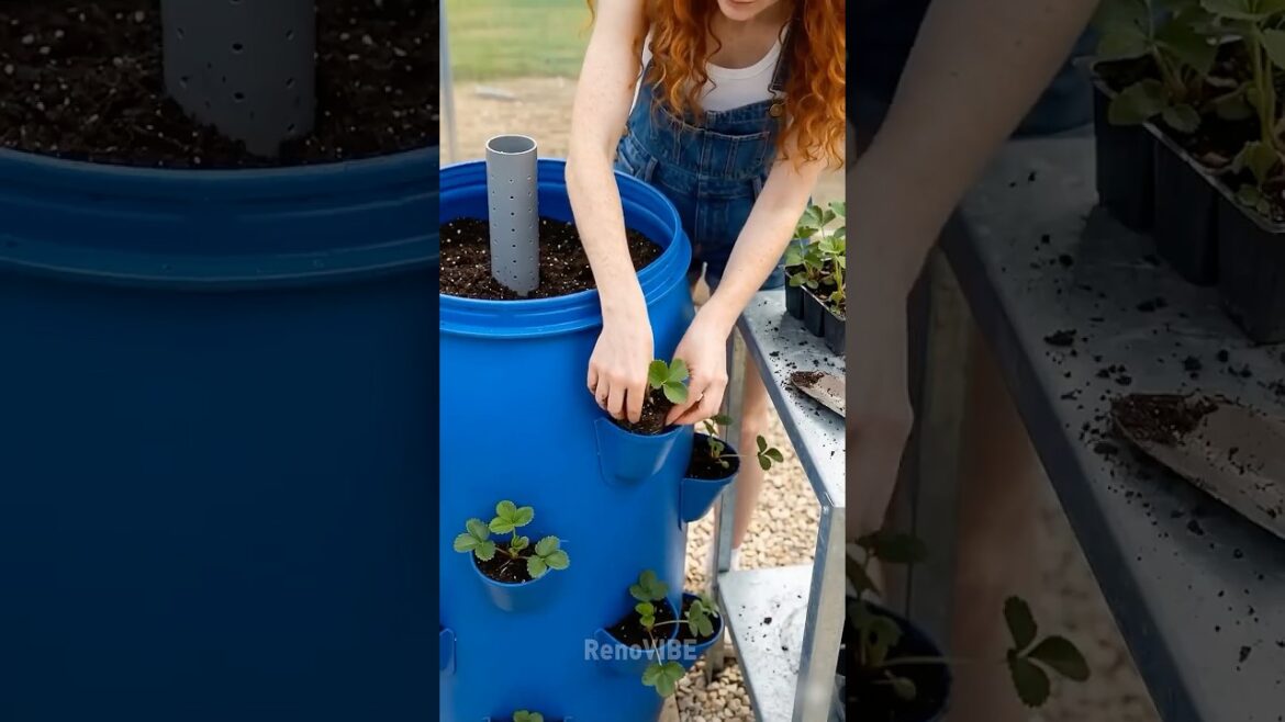 DIY Barrel Strawberry Garden That Actually WORKS 🍓 #homegarden #diy #shorts