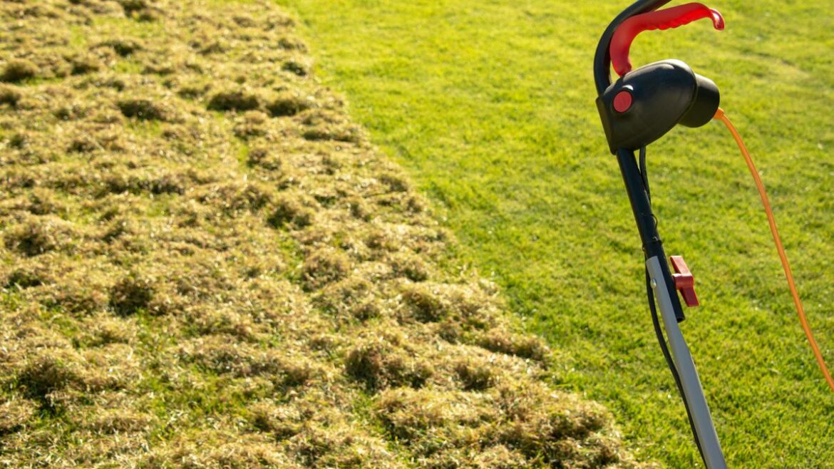 Monty Don urges gardeners to do 1 simple task so lawns will be moss-free and ‘thicker than ever’ Daily Mirror