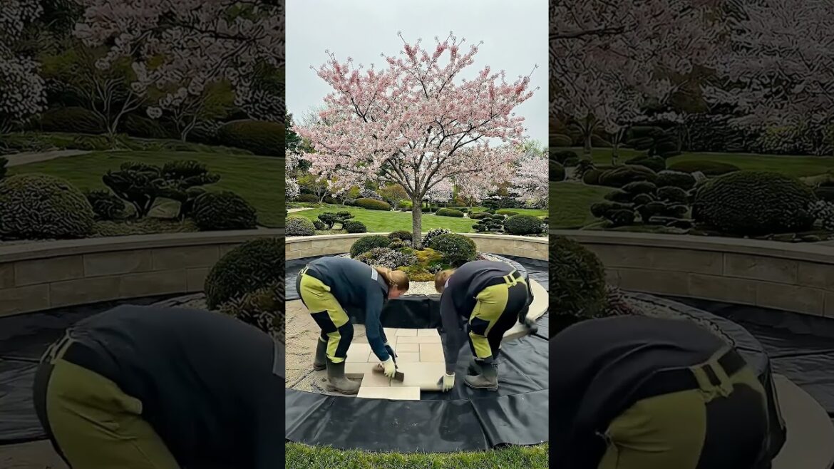 Beautiful Sakura Cherry Blossom Koi Pond Dream Garden