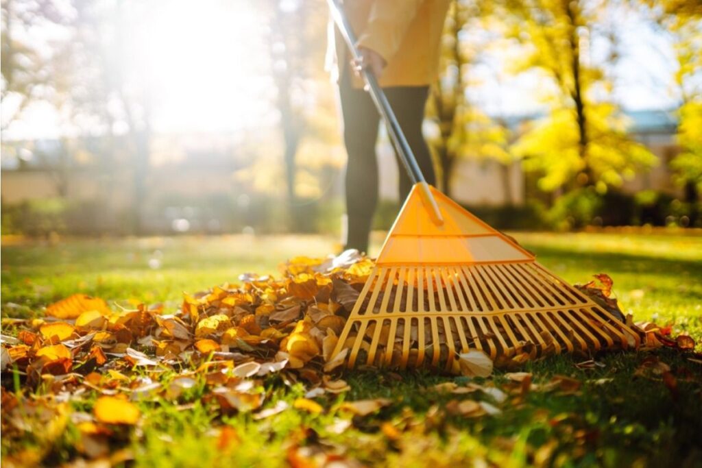 Gardeners Are Rushing to Clean Up Their Yards, But Some Say This One Spring Habit Can Do More Harm Than Good Lovely Garden Roots