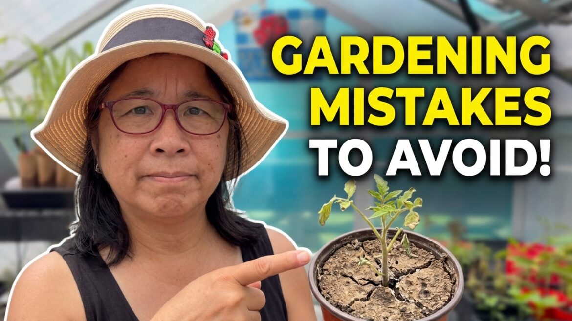 7 Beginner Container Gardening Mistakes (And How to Fix Them) 7 Beginner Container Gardening Mistakes (And How to Fix Them)