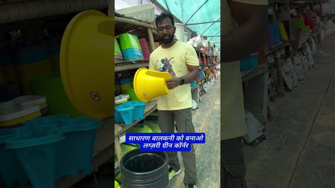 छोटी सी बालकनी को बना दो हरा-भरा स्वर्ग