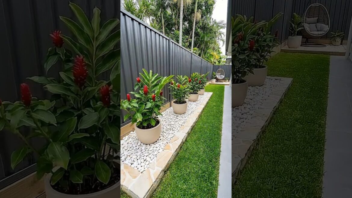 Minimalist Garden Design Anyone Can Copy