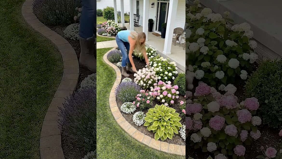 Neighbors Won’t Stop Looking at This Garden