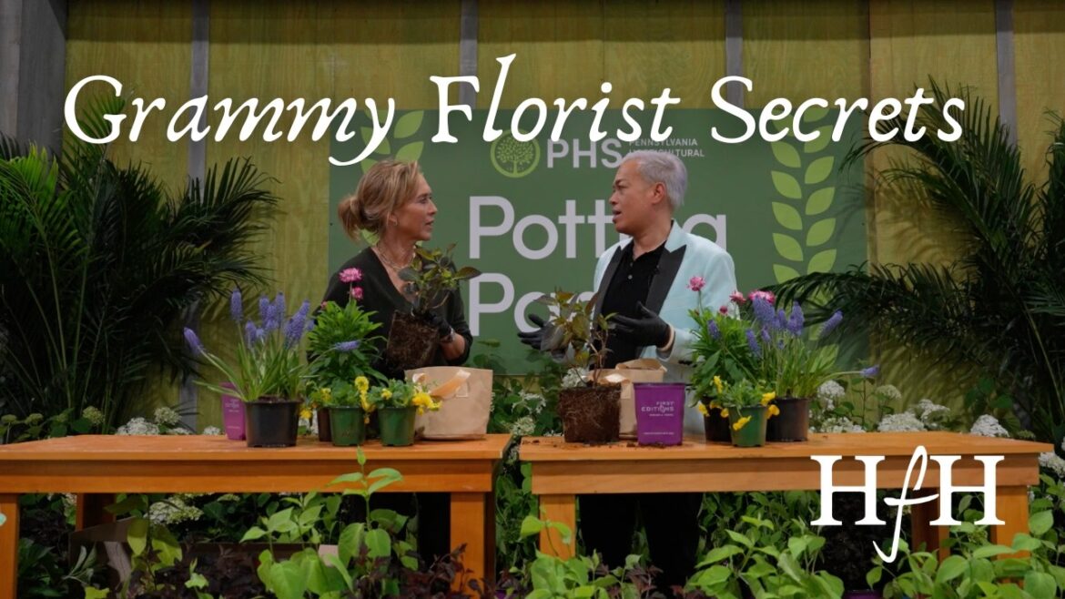 Spring Container Garden Ideas with Grammy Florist | Easy Planter Tips for Beginners Spring Container Garden Ideas with Grammy Florist | Easy Planter Tips for Beginners